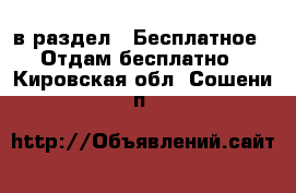  в раздел : Бесплатное » Отдам бесплатно . Кировская обл.,Сошени п.